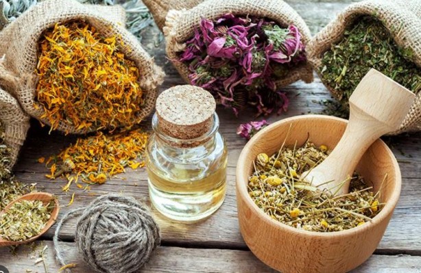 Foto - Bu bitkilerin bir tek ölüme çaresi yok! İşte şifa kaynağı bitkiler