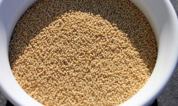 Foto - Bu bitkinin faydalarına çok şaşıracaksınız!