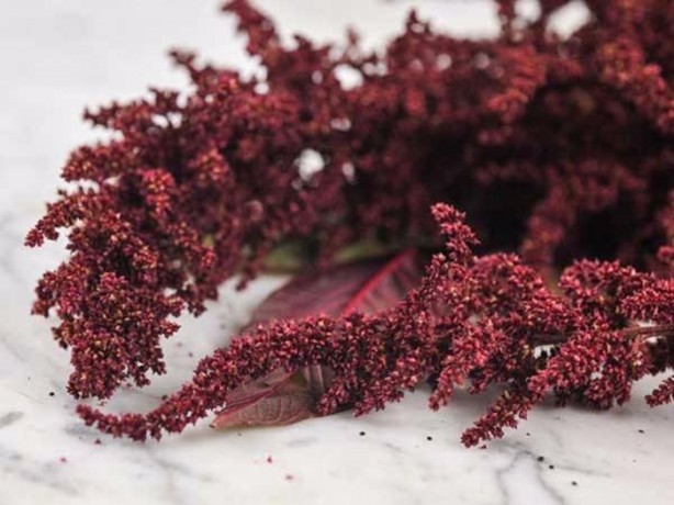 Foto - Bu bitkinin faydalarına çok şaşıracaksınız!