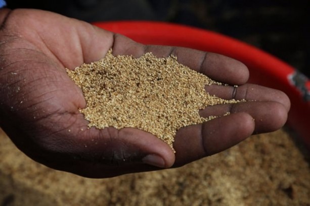 Foto - Bu bitkinin faydalarına çok şaşıracaksınız!