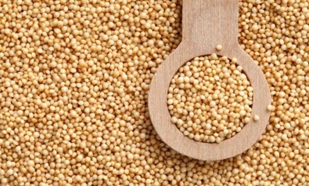 Foto - Bu bitkinin faydalarına çok şaşıracaksınız!