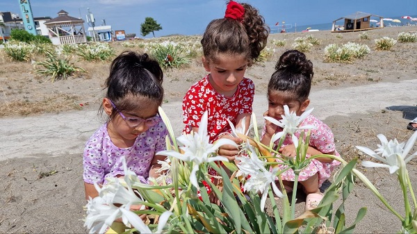 Foto - Bu bitkisinin nesli tükenmek üzere! 80 bin liranız yoksa bu çiçeğin yanına yaklaşmayın