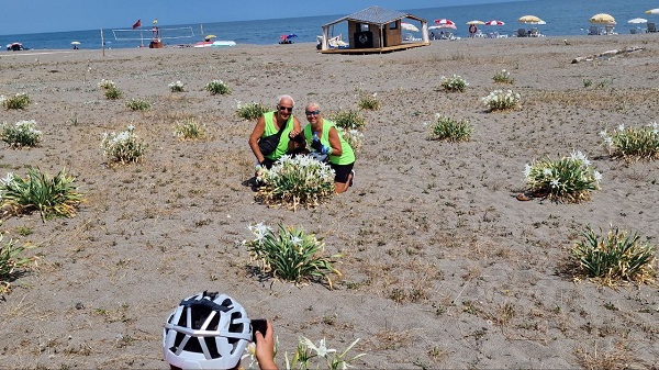 Foto - Bu bitkisinin nesli tükenmek üzere! 80 bin liranız yoksa bu çiçeğin yanına yaklaşmayın