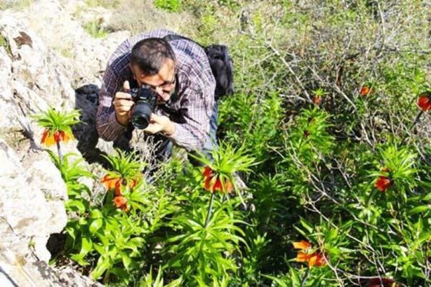 Foto - Bu bitkiyi görmeye gelirken 2 kere düşünün! Cezası 244 bin lira