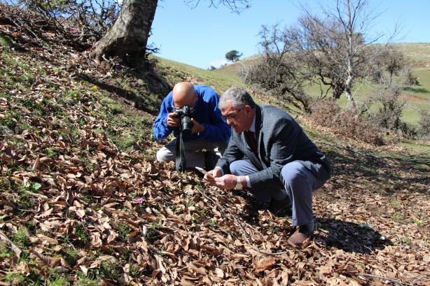 Foto - Bu bitkiyi görürseniz hemen oradan uzaklaşın! Dokunursanız başınız belaya girebilir