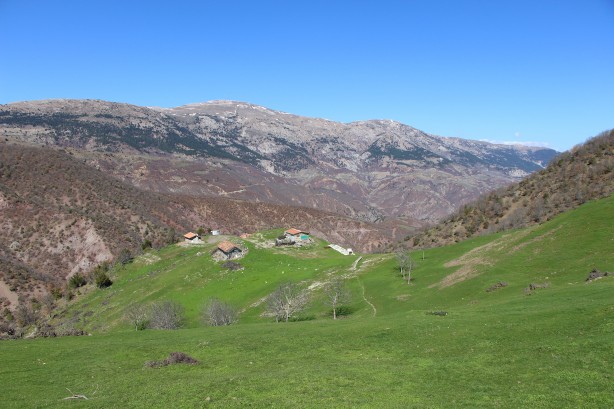 Foto - Bu bitkiyi görürseniz hemen oradan uzaklaşın! Dokunursanız başınız belaya girebilir