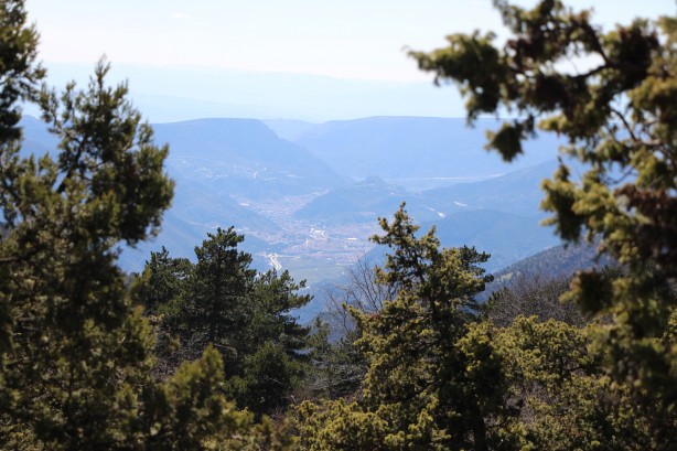 Foto - Bu bitkiyi görürseniz hemen oradan uzaklaşın! Dokunursanız başınız belaya girebilir