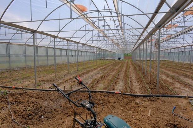 Foto - Bu bölümü bitirene iş garantisi var! İşte sizi zengin yapacak o bölüm
