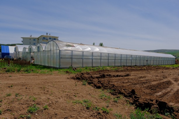 Bu bölümü bitirene iş garantisi var! İşte sizi zengin yapacak o bölüm