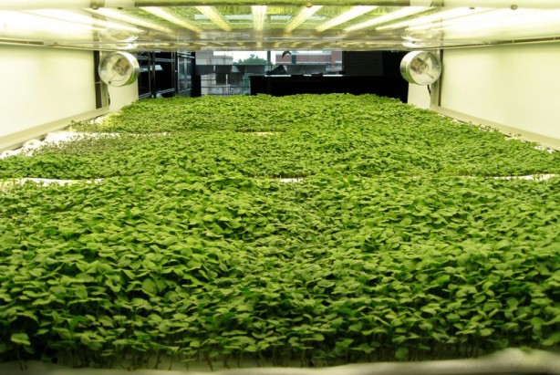 Foto - Bu bölümü bitirene iş garantisi var! İşte sizi zengin yapacak o bölüm