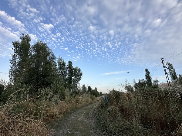 Foto - Bu bulutlar görsel şölen sundu