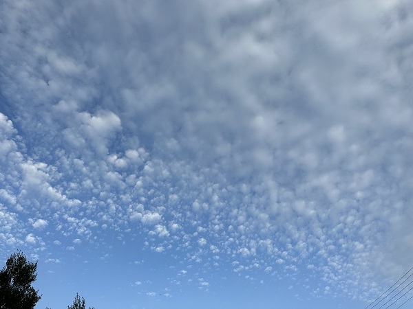 Foto - Bu bulutlar görsel şölen sundu