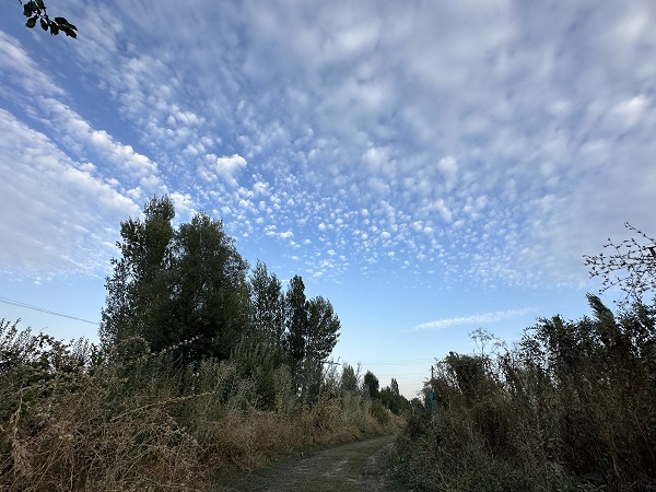 Foto - Bu bulutlar görsel şölen sundu