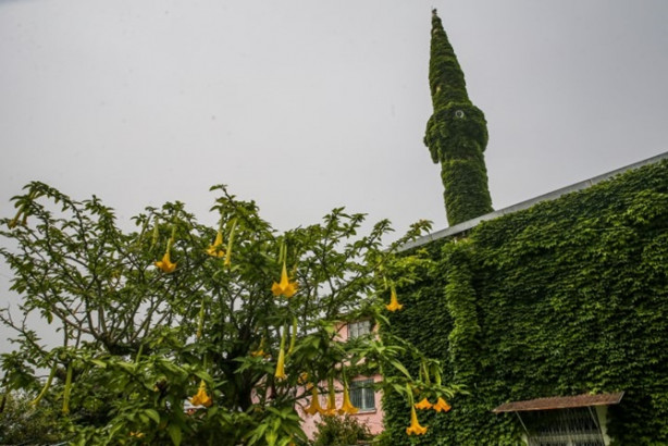 Foto - Bu cami bildiklerinizden çok farklı!