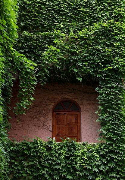 Foto - Bu cami görenleri hayran bırakıyor! 