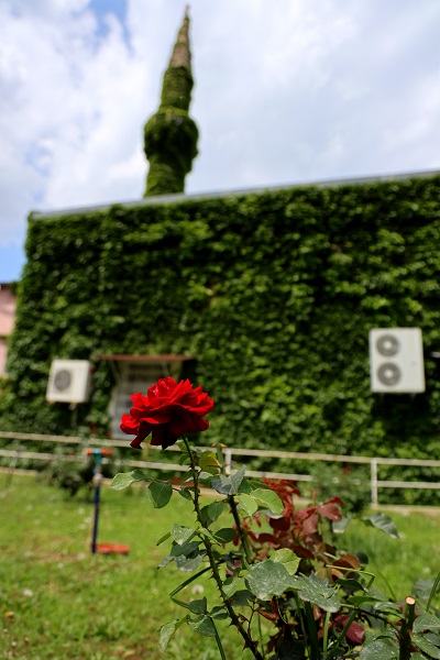 Foto - Bu cami görenleri hayran bırakıyor! 