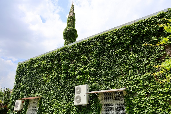 Foto - Bu cami görenleri hayran bırakıyor! 