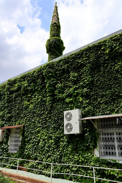 Foto - Bu cami görenleri hayran bırakıyor! 
