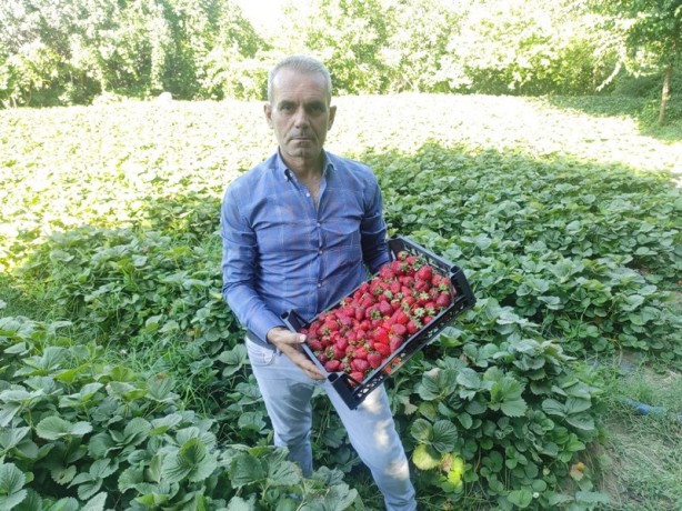Foto - Bu çark durdurulmalı! Tarlada 8, tezgahta 30