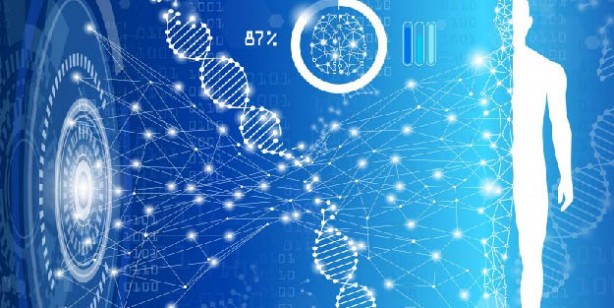Bu çayı akşamları için! Siz uyurken organlarınız yenilenecek