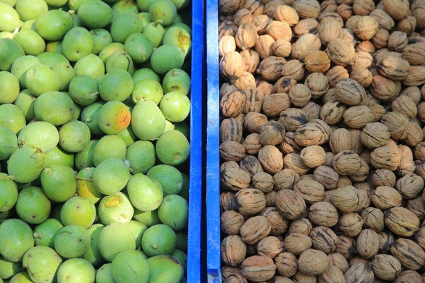 Foto - Bu ceviz diğerlerinden çok farklı