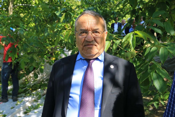 Foto - Bu ceviz diğerlerinden çok farklı