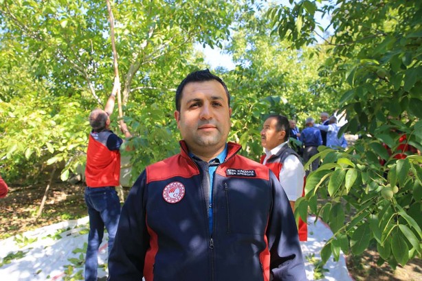 Foto - Bu ceviz diğerlerinden çok farklı