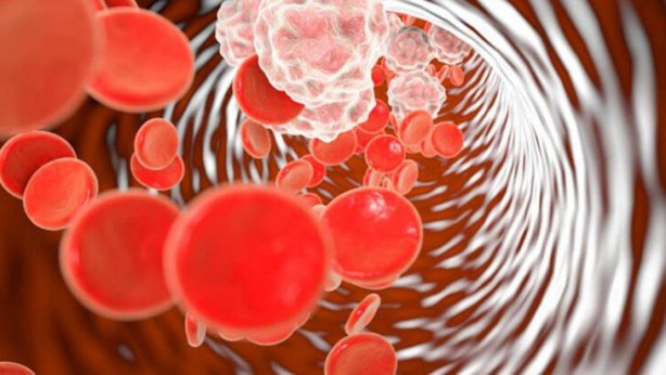 Foto - Bu cevizin faydalarını duyunca evinizden eksik etmeyeceksiniz! İşte vücuda 5 etkisi