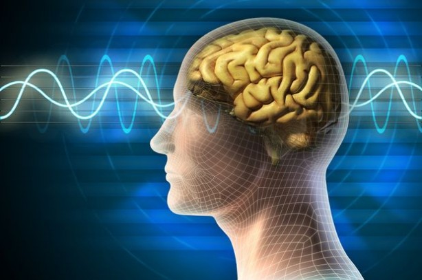 Foto - Bu cevizin faydalarını duyunca evinizden eksik etmeyeceksiniz! İşte vücuda 5 etkisi