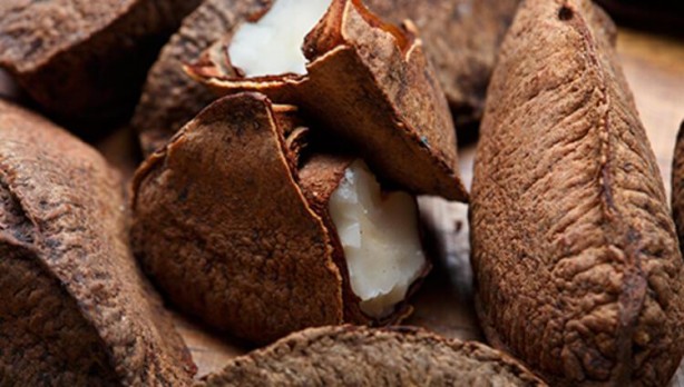 Bu cevizin faydalarını duyunca evinizden eksik etmeyeceksiniz! İşte vücuda 5 etkisi