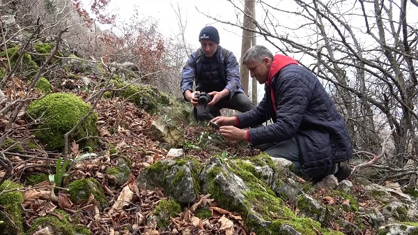 Foto - Bu çiçeğe yaklaşırken dikkat edin! Koparmanın cezası 387 bin 142 TL