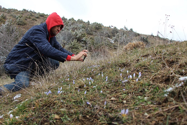 Foto - Bu çiçeğe yaklaşırken dikkat edin! Koparmanın cezası 387 bin 142 TL