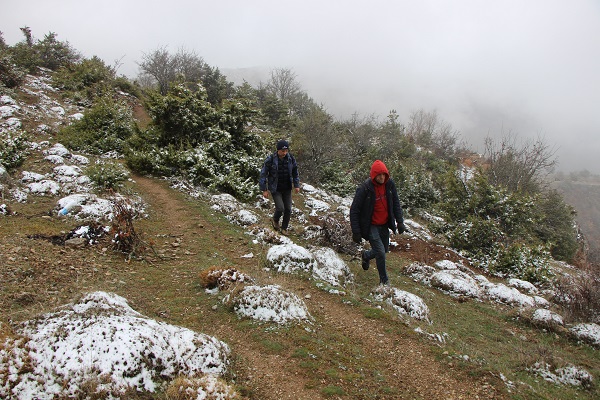 Foto - Bu çiçeğe yaklaşırken dikkat edin! Koparmanın cezası 387 bin 142 TL