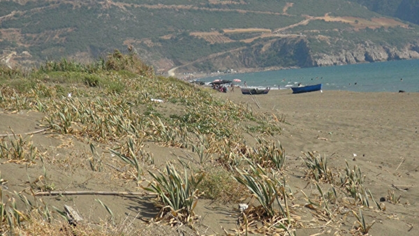 Foto - Bu çiçeği koparan yandı! Cezası tam 80 bin TL