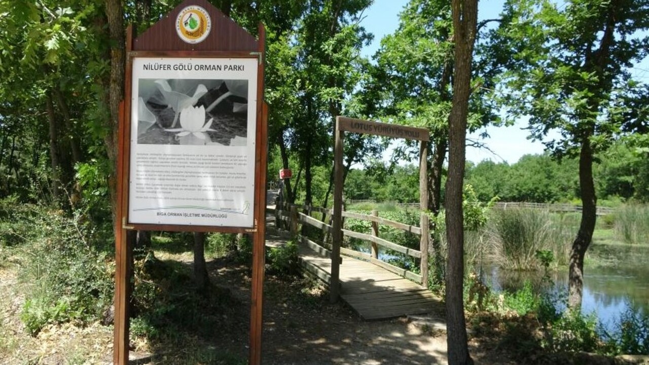 Foto - Bu çiçeği koparmadan önce düşünün! Cezası dudak uçuklatıyor