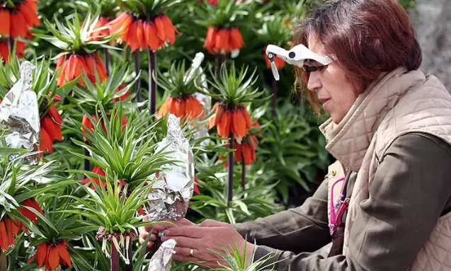 Foto - Bu çiçeği koparmanın cezası 577 bin lira