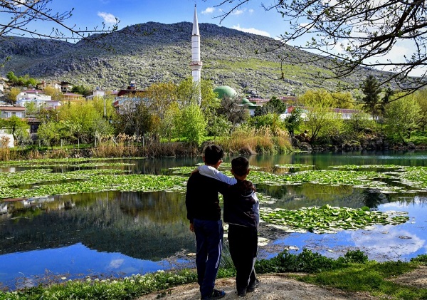Foto - Bu çiçekler koruma altında