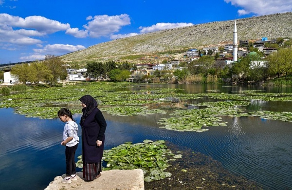 Foto - Bu çiçekler koruma altında