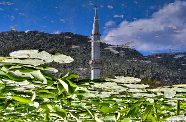 Foto - Bu çiçekler koruma altında