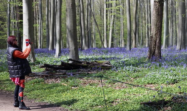 Foto - Bu çiçekler tüm dünyanın dilinde