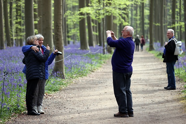 Foto - Bu çiçekler tüm dünyanın dilinde