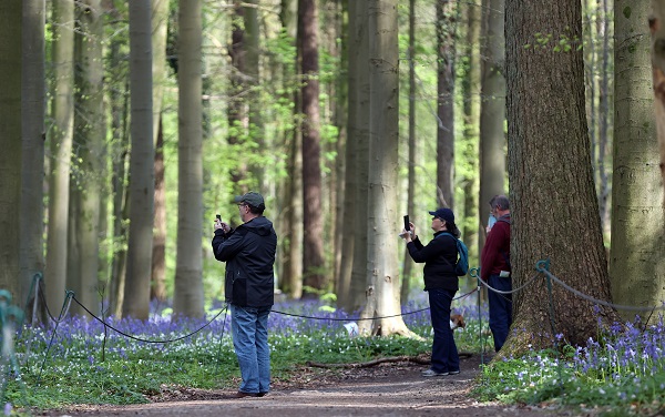 Foto - Bu çiçekler tüm dünyanın dilinde