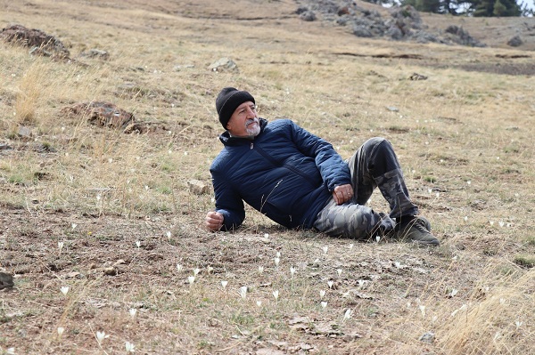 Foto - Bu çiçekler yayladakilere 'vargit' diyor