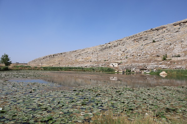 Foto - Bu çiçekleri koparmanın cezası 150 bin lira