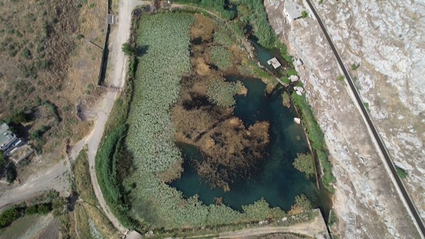 Foto - Bu çiçekleri koparmanın cezası 150 bin lira