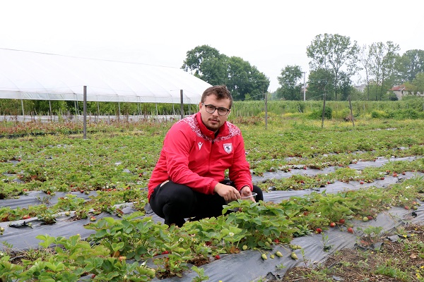 Foto - Bu çilek diğerlerinden çok farklı
