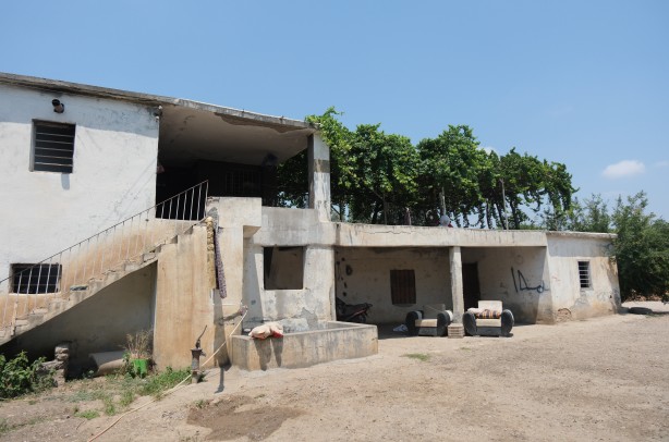 Foto - Bu çocuğa iyi bakın! Başıboş köpekler bu hale getirdi