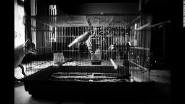 Foto - Bu çocuk gölgede yaşamak zorunda!