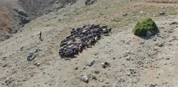Foto - Bu çocukla onun oyu bir mi olacak şimdi? Aysun Kayacı zihniyetine ibret olsun