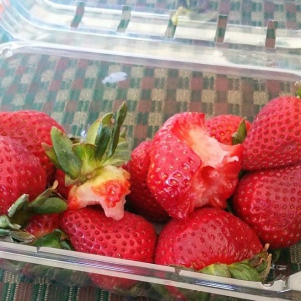 Foto - Bu çocukların ebeveynlerine sabır dileyeceksiniz!